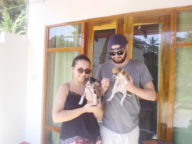 Hilltop Bungalow Hotel มิริสซา ภายนอก รูปภาพ